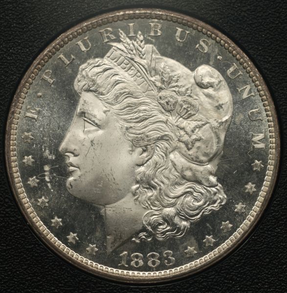 Canon-T1i-&-Bellows-GSA-Dollars