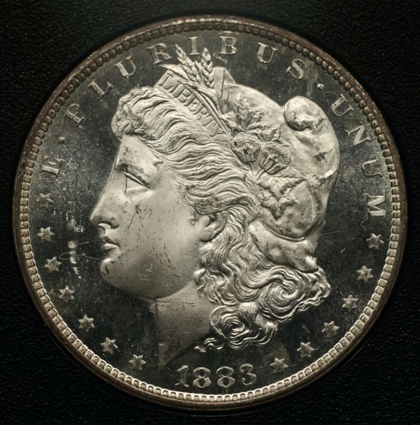 Canon-T1i-&-Bellows-GSA-Dollars