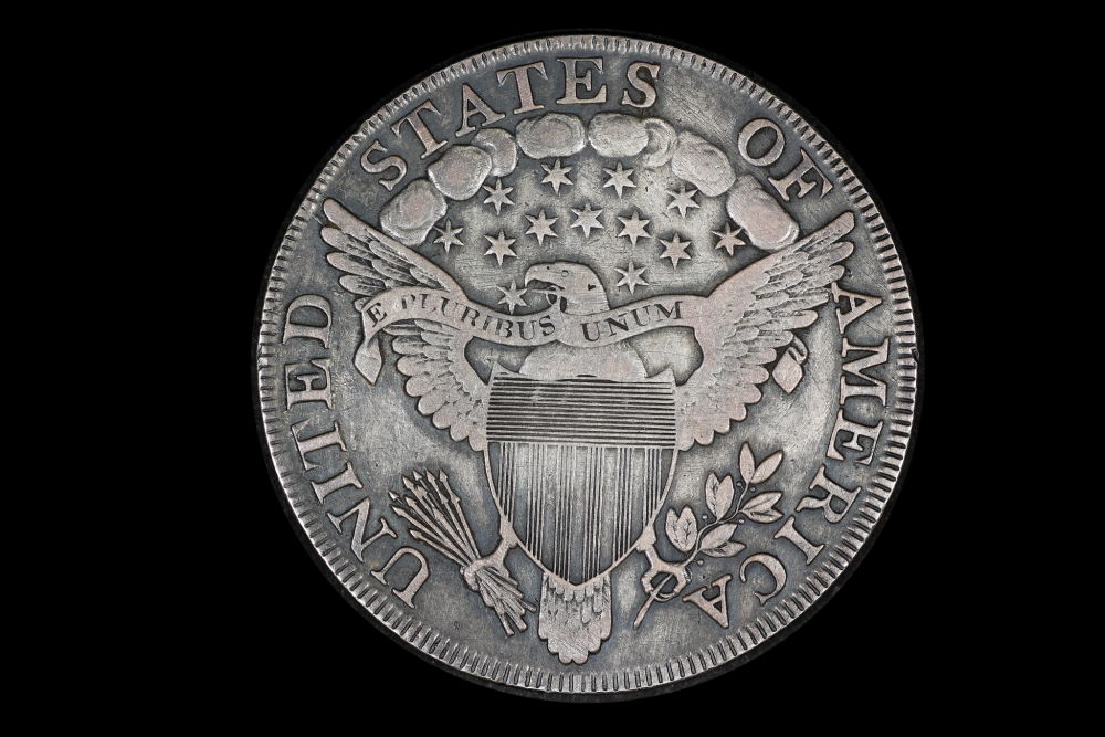 What-Say-You-On-This-1803-Draped-Bust-Dollar