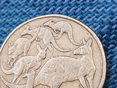 Noodling-Find-Of-The-Week?