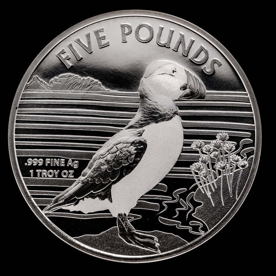 2019-Alderney-Puffin