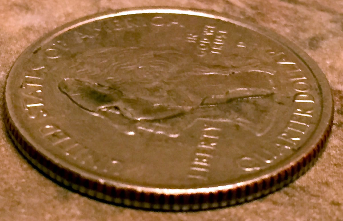 2007-Washington-State-Quarter-Error?