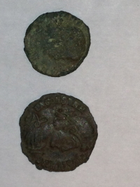 Some-New-Arrivals