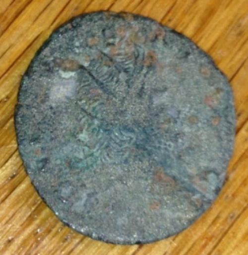 Semi-Cleaned-Coins