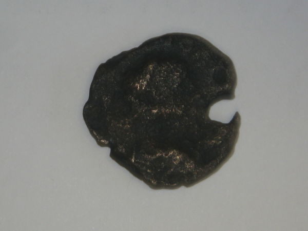 Please-Help-Identify