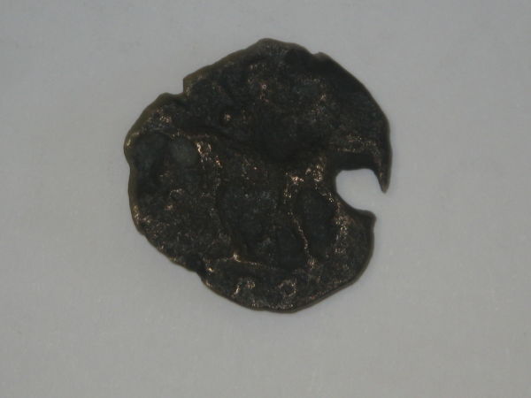 Please-Help-Identify