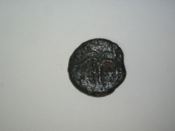Please-Help-Identify