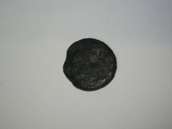 Please-Help-Identify
