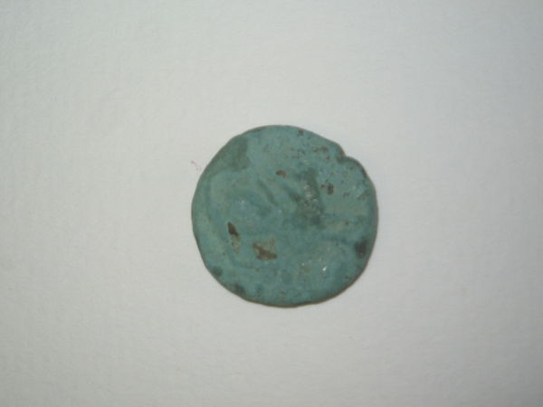 Please-Help-Identify