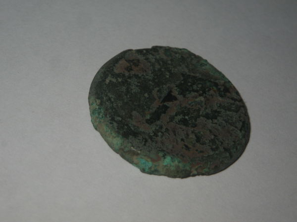 Help-To-ID-Dolphin-Coin