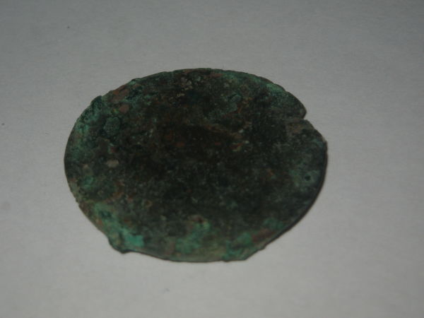 Help-To-ID-Dolphin-Coin