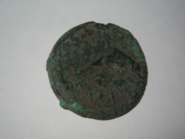 Help-To-ID-Dolphin-Coin