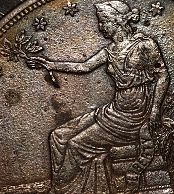 1874-S-Trade-Dollar-Toned?