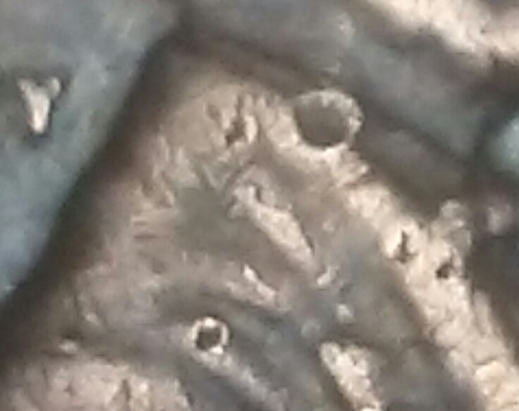 I-Have-A-1956-D-Lincoln-Error
