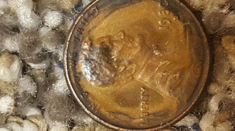 Any-Advice-Would-Help...lmc
