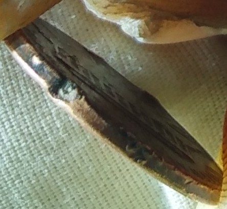 1978-Penny-Error-Or-Damage?