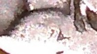 Help-With-Partial-Date-Buffalo-Nickel-Please
