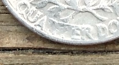 1967-Quarter-Wear-Or-Error?