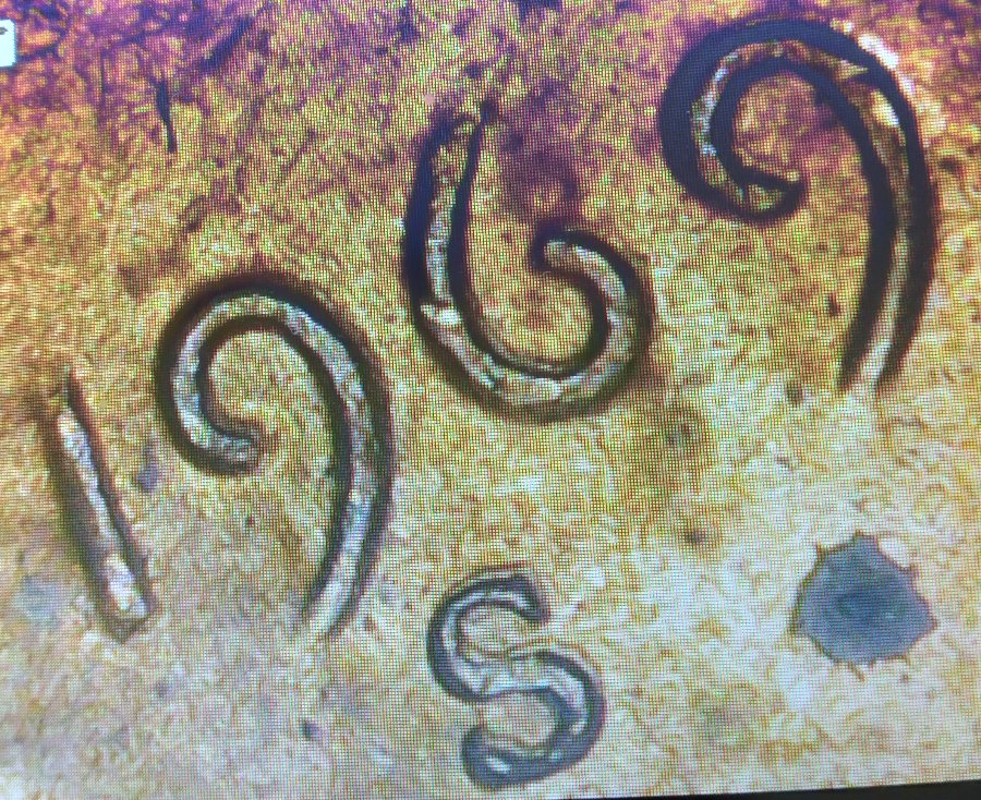 Is-This-1969-S-Penny-DDO?