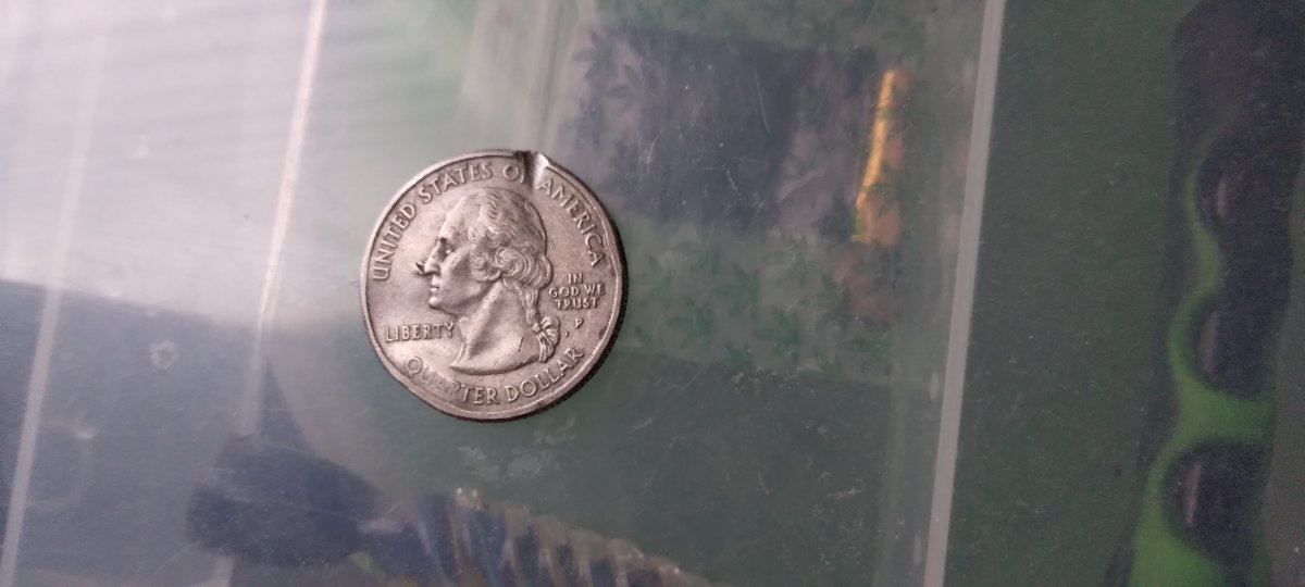Is-This-2003-P-Quarter-A-Error