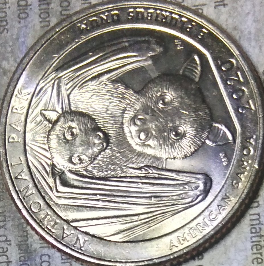 2020-P-Bat-Quarter-Possibal-DDO-And-What-Looks-Like-Tear-Drops-Under-The-Bats-Eye?
