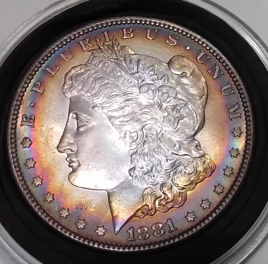 My-First-Morgan-Silver-Dollar-1881-S-Rainbow-Toned-Edges-What's-The-Grade?