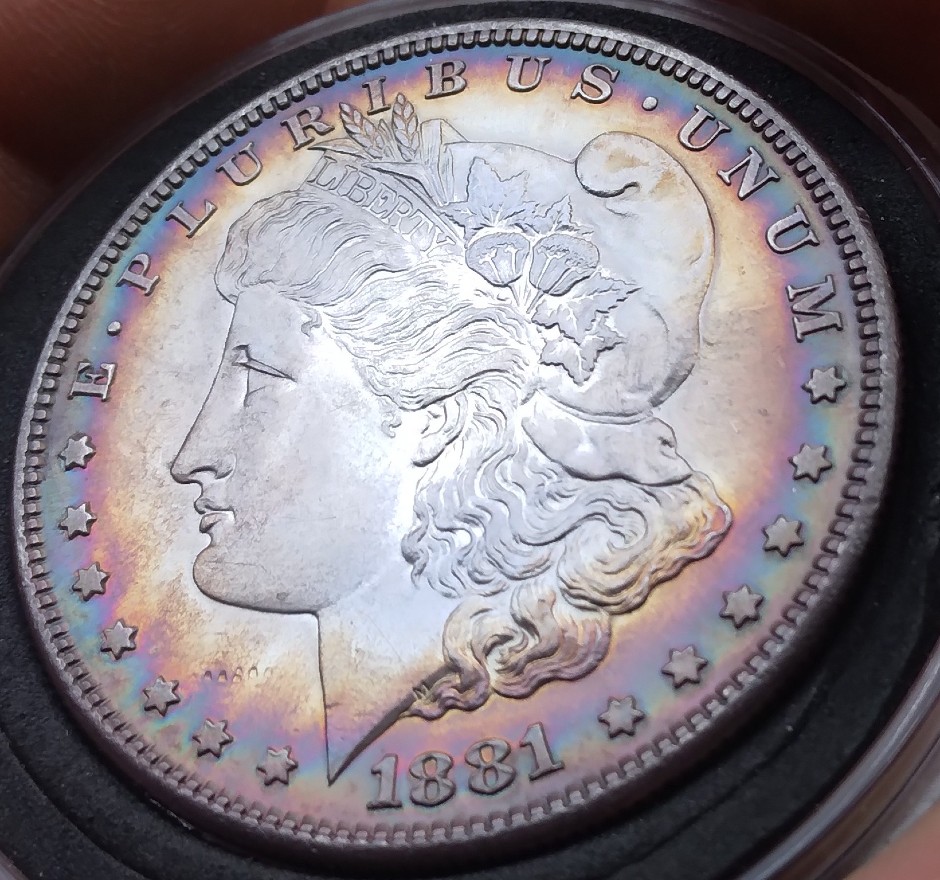 My-First-Morgan-Silver-Dollar-1881-S-Rainbow-Toned-Edges-What's-The-Grade?