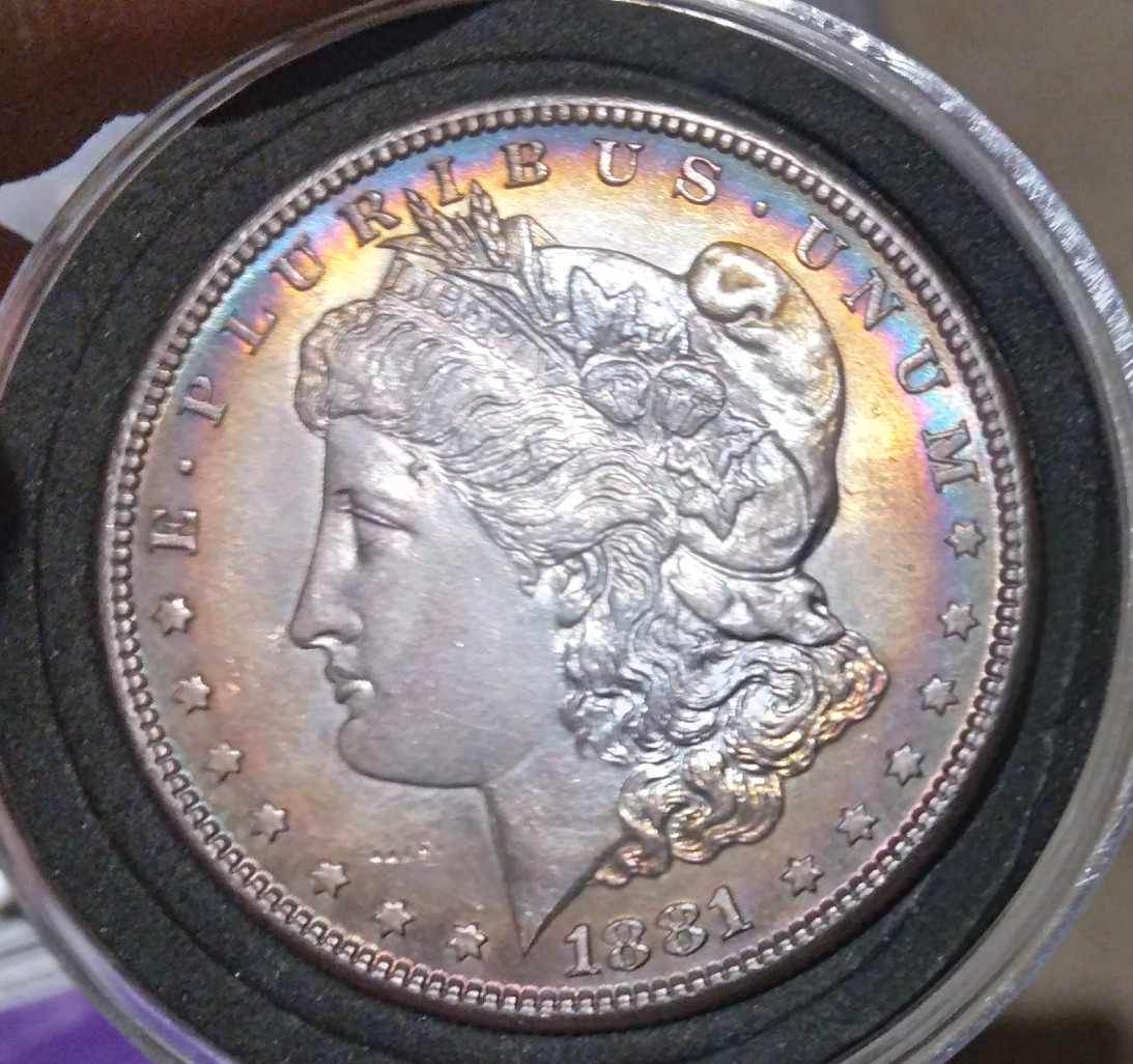 My-First-Morgan-Silver-Dollar-1881-S-Rainbow-Toned-Edges-What's-The-Grade?