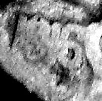 Question-On-Die-Markers-For-1916-DDO-Buffalo-Nickel