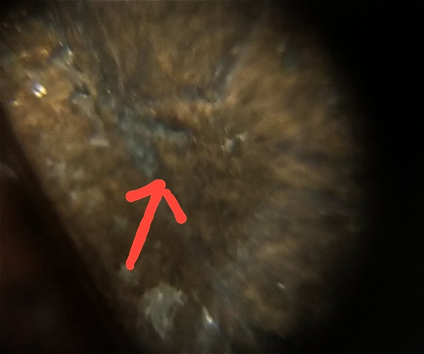 1862-Half-Penny-With-Die-Letter-C-Possibly