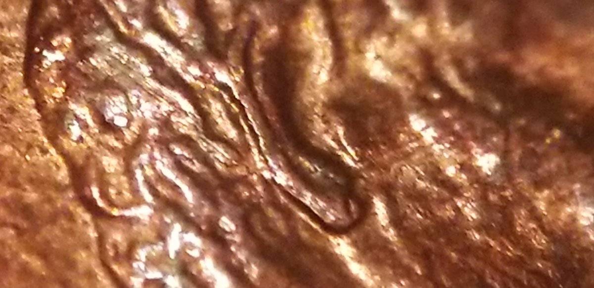 1988-D-Penny-Help-With-What-I-Have-Here