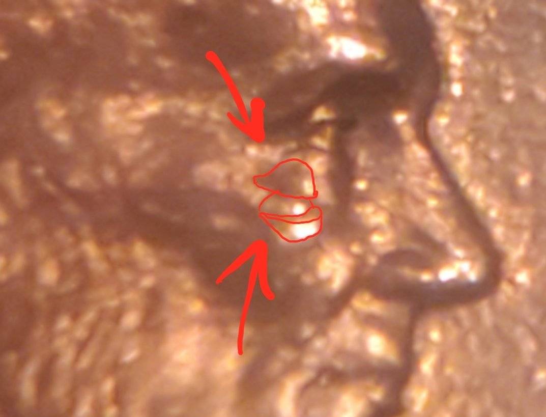 1993-D-Penny-Doubled-Die-Reverse-And-Double-Eye-Obverse?