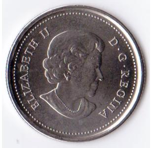 Help-Grading-A-2011-Coloured-Bison-Quarter