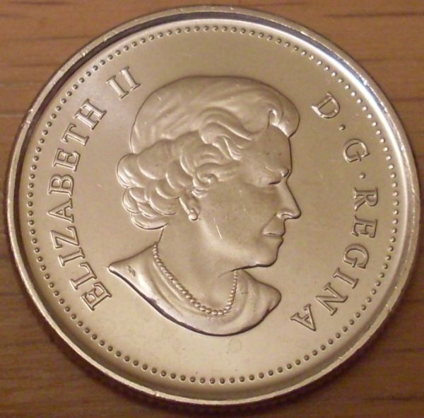 Help-Grading-A-2011-Coloured-Bison-Quarter