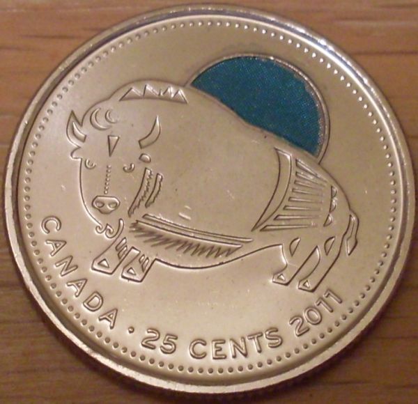 Help-Grading-A-2011-Coloured-Bison-Quarter