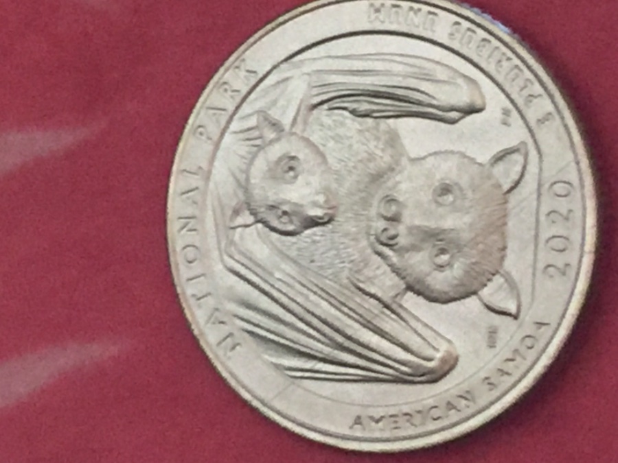 2020-American-Samoa-National-Parks-Quarter-Pre-Strike-Planchet-Error?