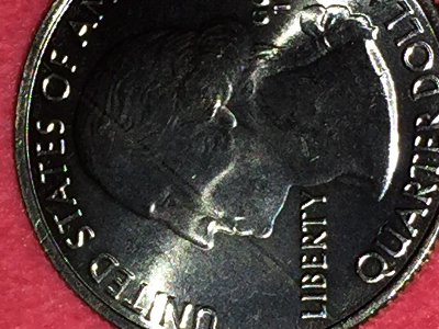 2020-American-Samoa-National-Parks-Quarter-Pre-Strike-Planchet-Error?