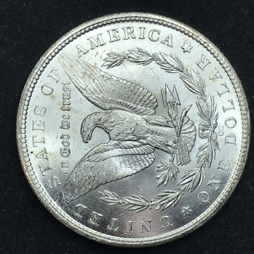 28-Days-Of-The-Morgan-Dollars-Part-5