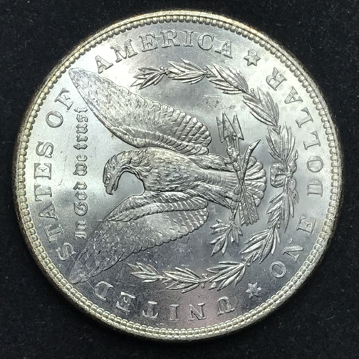 28-Days-Of-The-Morgan-Dollars-Part-5