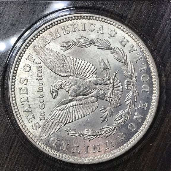 28-Days-Of-The-Morgan-Dollars-Part-5