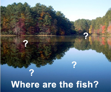 Yet-Another-Forum-Game---Numismatic-Go-Fish!