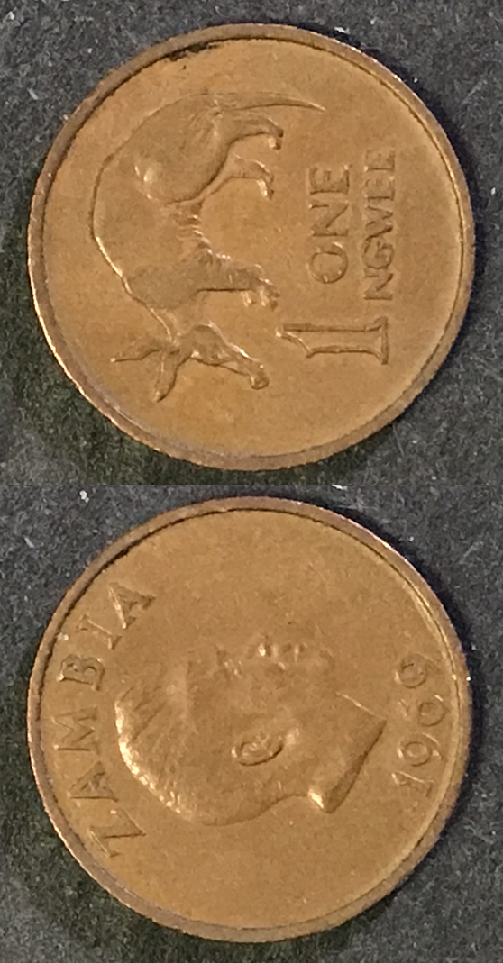 Post-Your-Coins-Representing-The-Animal-Kingdom.