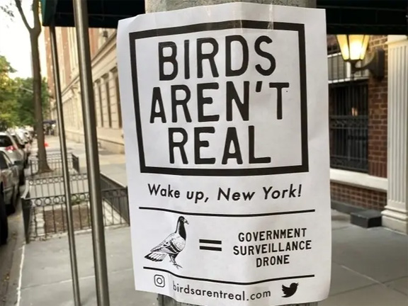 Post-Your-Bird-Coins