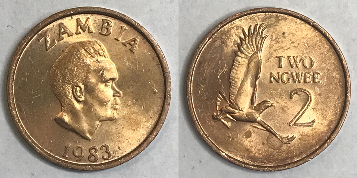 Post-Your-Bird-Coins