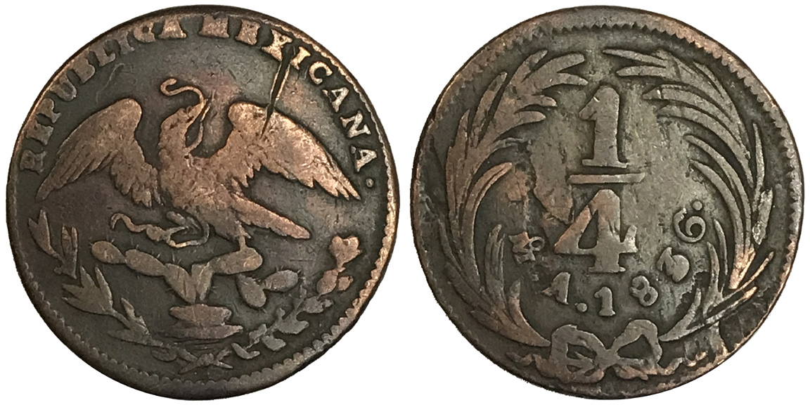 Post-Your-Bird-Coins