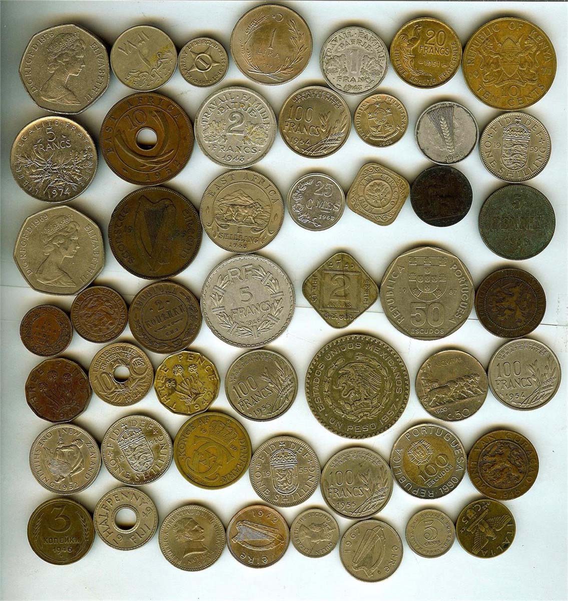 Post-Your-Coins-Representing-The-Animal-Kingdom.