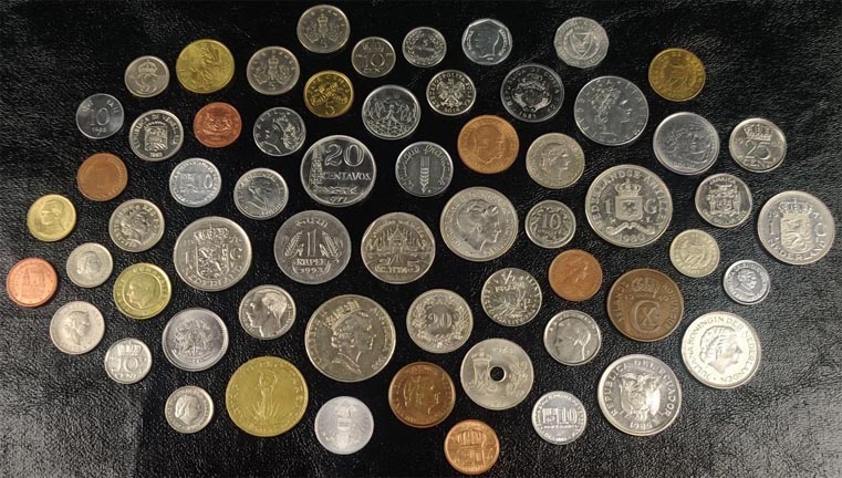 Post-Your-Coins-Representing-The-Animal-Kingdom.