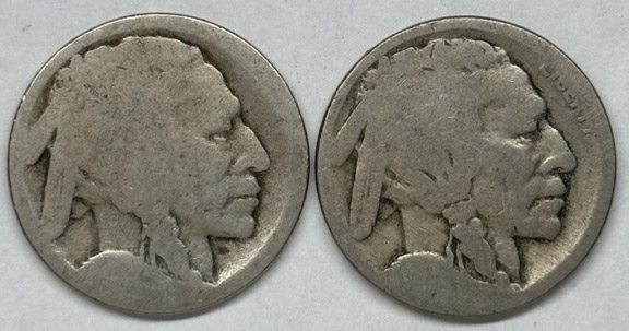 Post-Your-Coins-Representing-The-Animal-Kingdom.