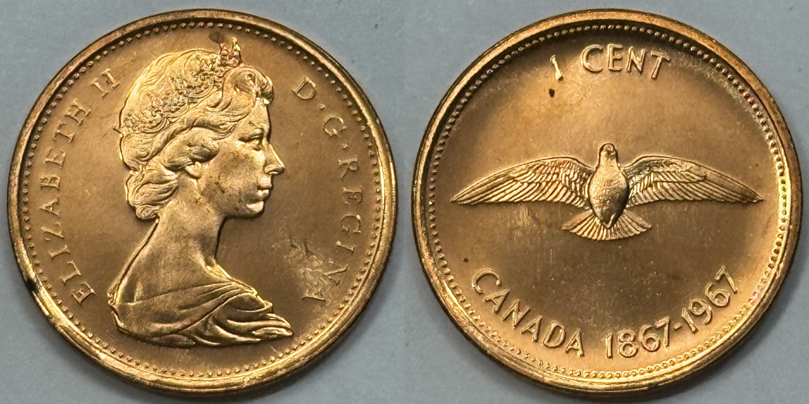 Post-Your-Bird-Coins