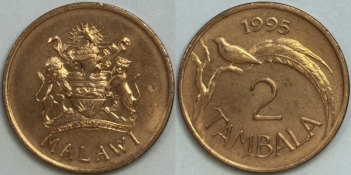 Post-Your-Bird-Coins